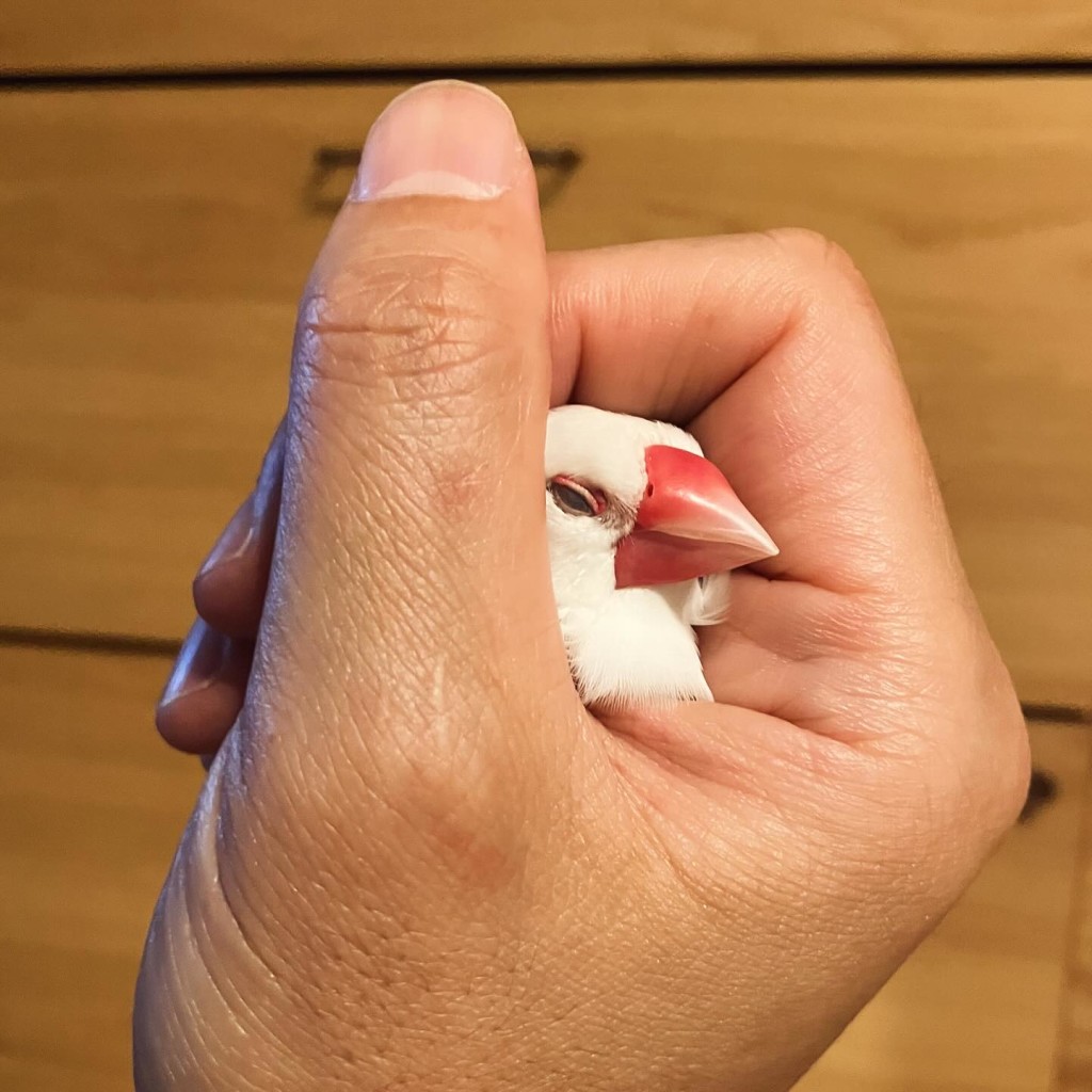 539762358_18526466143046809_4482349195633400437_n